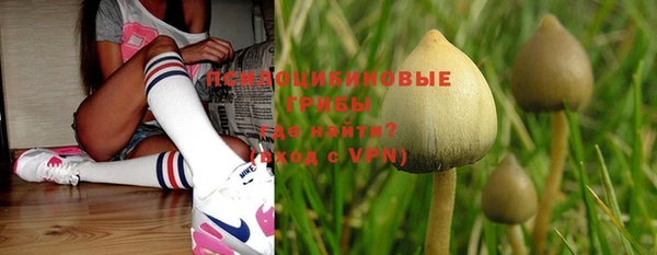 mdpv Куйбышев
