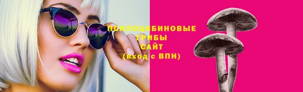 хмурый Кукмор