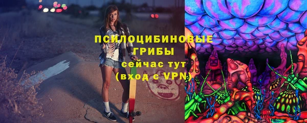 mdpv Куйбышев
