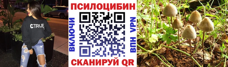 Галлюциногенные грибы ЛСД  Купить где  Никольск 
